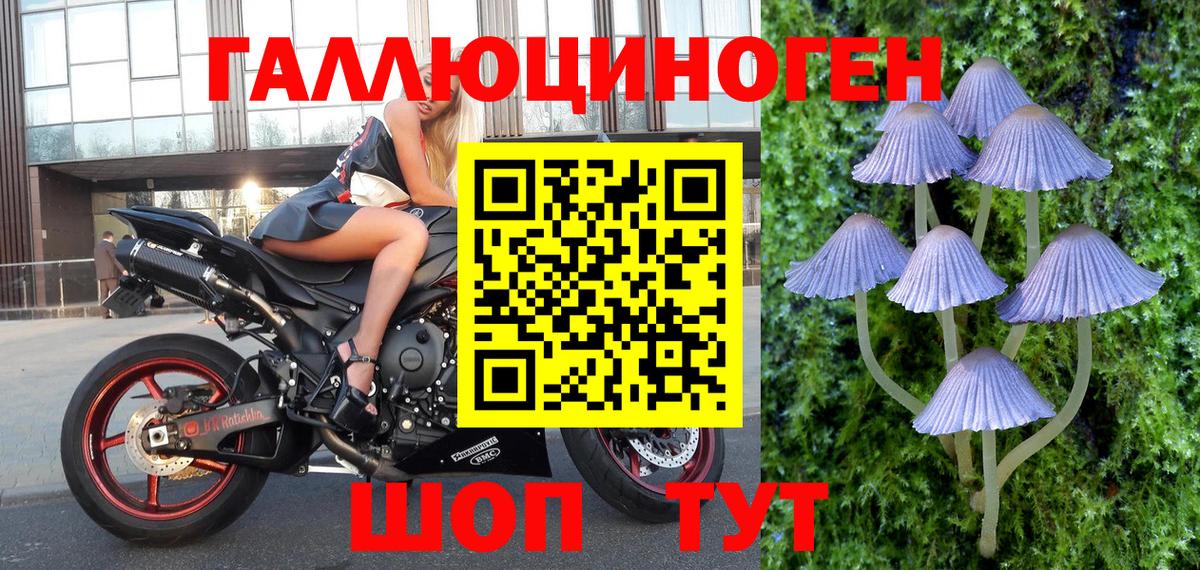 Псилоцибиновые грибы Cubensis  Псилоцибиновые грибы Psilocybine cubensis  Ялта  Вход с VPN 